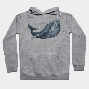 Whale Hoodie